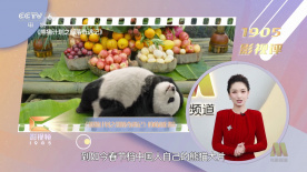奥托达凯